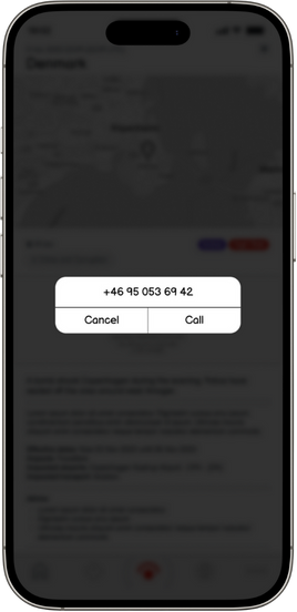 Safety Check Call Security Provider.png
